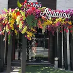 Аркадия 44 Жемчужина ,прямой вид на море.