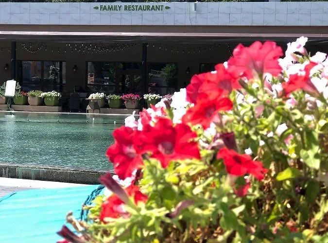 Аркадия 44 Жемчужина ,прямой вид на море. * Одесса